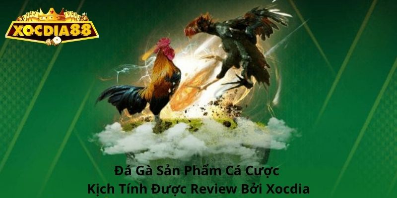 Đá Gà Xocdia