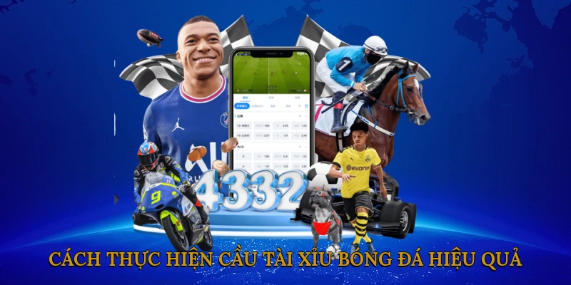 Cách thực hiện cầu tài xỉu bóng đá hiệu quả