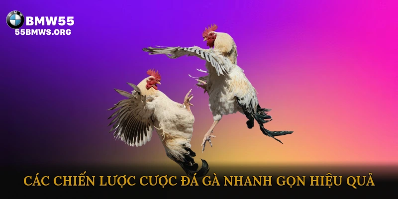 Các chiến lược cược đá gà nhanh gọn hiệu quả