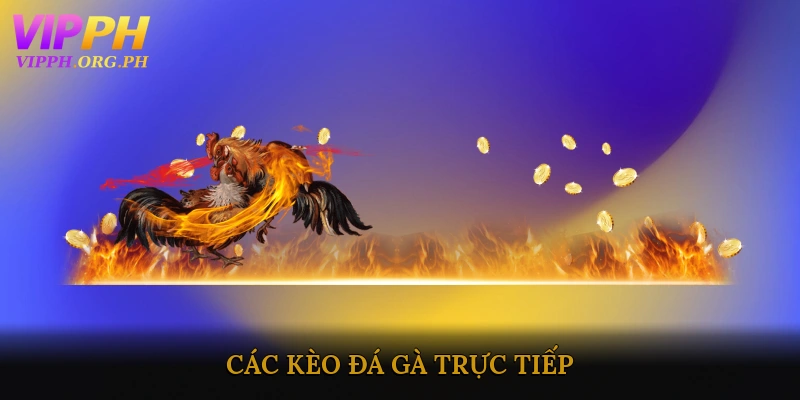 Các Kèo Đá Gà Trực Tiếp: Tỷ Lệ Và Cách Đặt Cược
