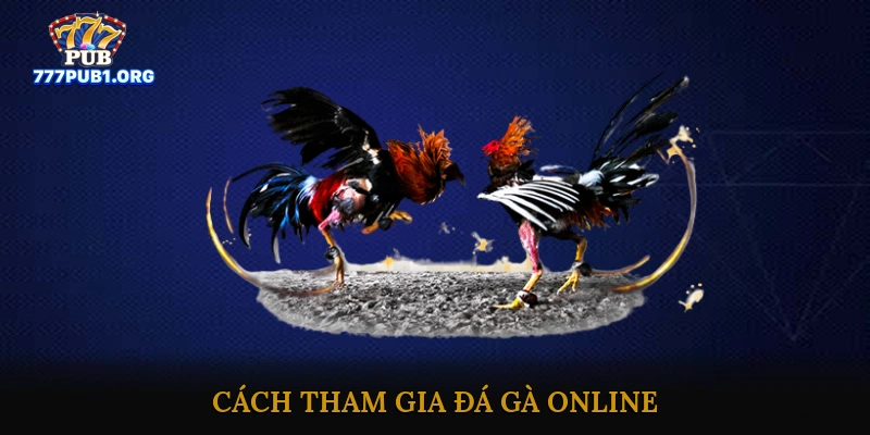 Cách Tham Gia Đá Gà Online