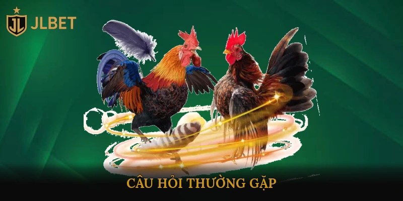 Câu Hỏi Thường Gặp
