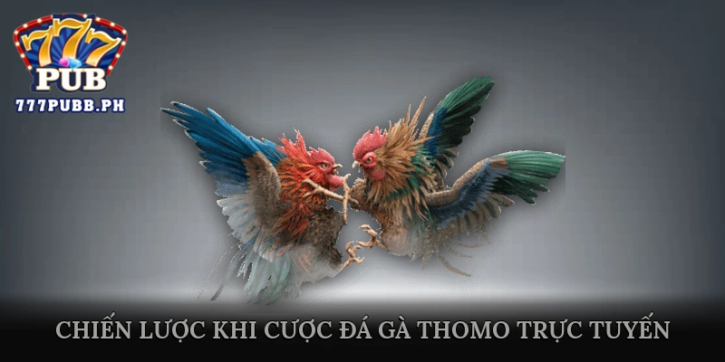 Chiến Lược Khi Xem và Cược Đá Gà Thomo Trực Tuyến