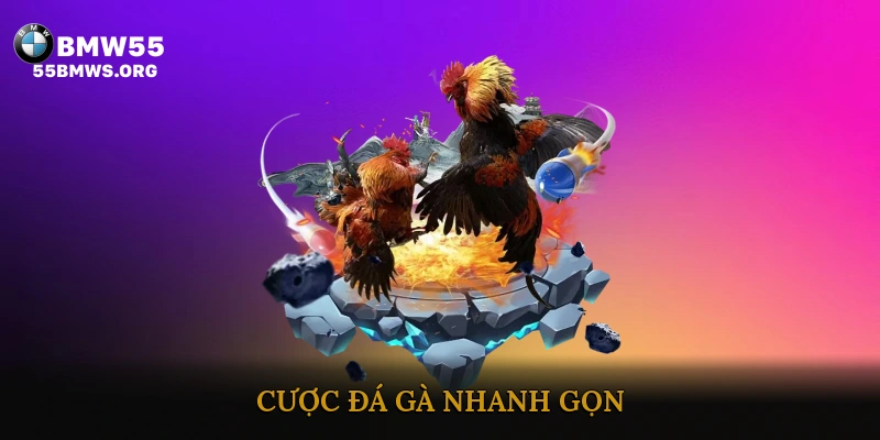cược đá gà nhanh gọn
