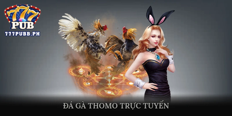 Đá Gà Thomo Trực Tuyến