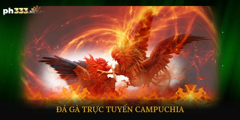 Đá gà trực tuyến Campuchia