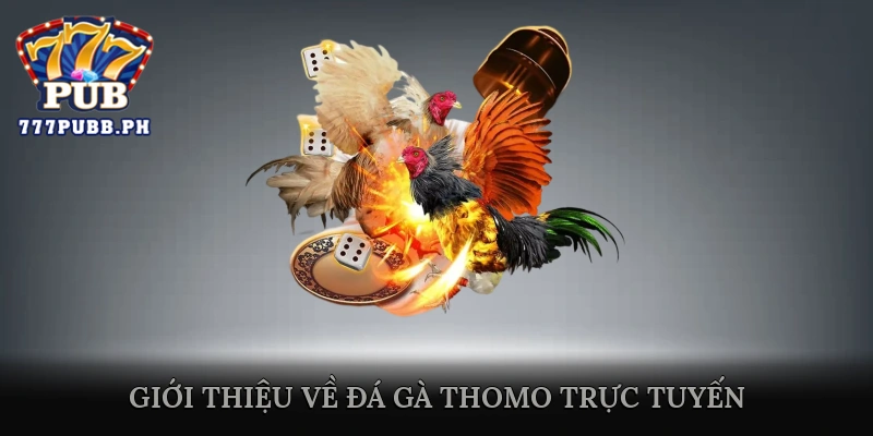 Giới thiệu về Đá gà Thomo trực tuyến
