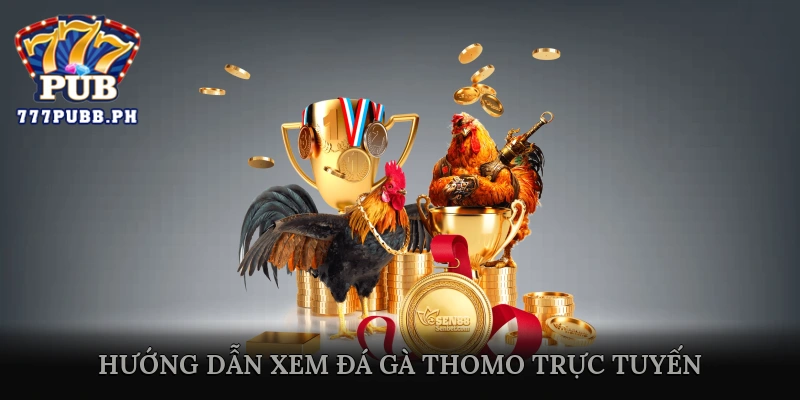 Hướng Dẫn Xem Đá Gà Thomo Trực Tuyến