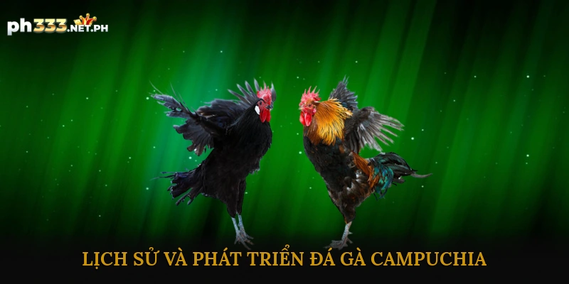 Lịch Sử Và Phát Triển Đá Gà Campuchia