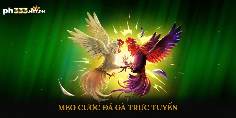 Mẹo Cược Đá Gà Trực Tuyến