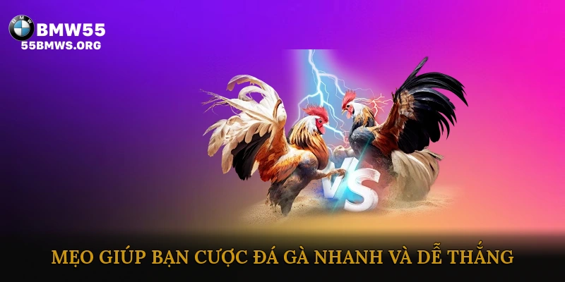 Mẹo giúp bạn cược đá gà nhanh và dễ thắng