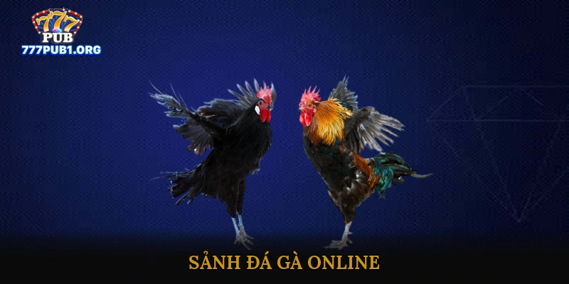 Sảnh Đá Gà Online