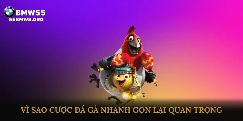 Vì sao cược đá gà nhanh gọn lại quan trọng?