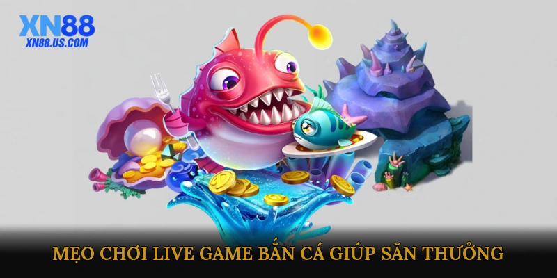 Mẹo Chơi Live Game Bắn Cá Giúp Săn Thưởng Dễ Dàng