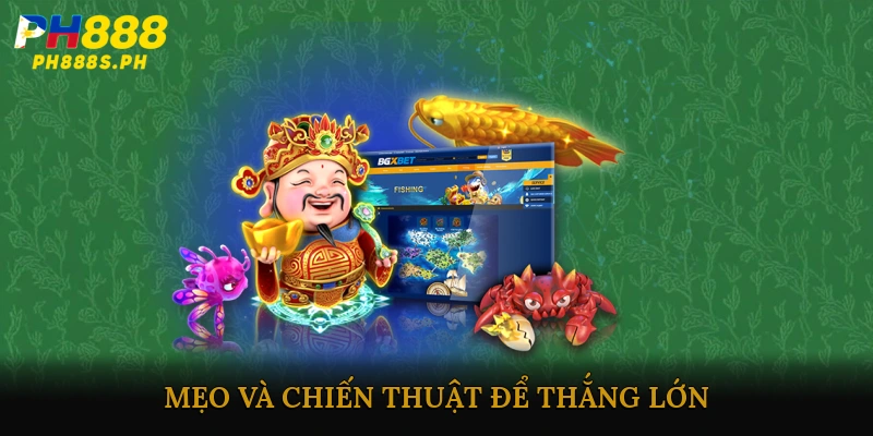 Mẹo và chiến thuật để thắng lớn