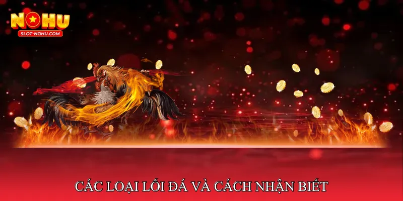 Các loại lối đá và cách nhận biết