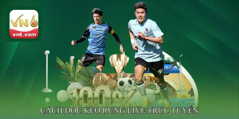 Cách đọc kèo rung live trực tuyến