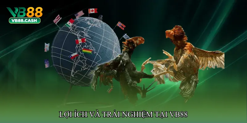 Lợi ích và trải nghiệm tại VB88