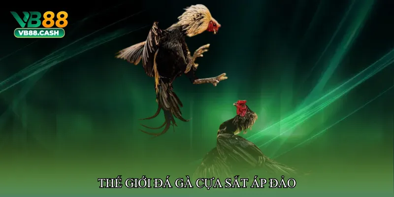 Thế giới Đá gà cựa sắt áp đảo