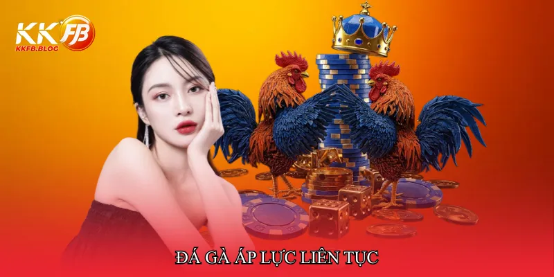 Đá gà áp lực liên tục