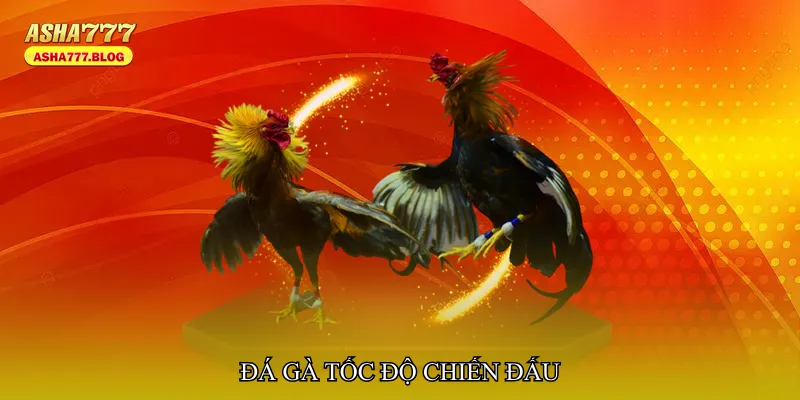 Đá gà tốc độ chiến đấu